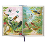 Cavallini (A5) Window Journal - Bird Watching 6X8.25" Lined 320PG