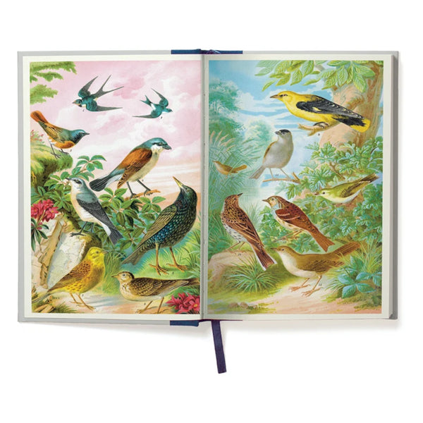 Cavallini (A5) Window Journal - Bird Watching 6X8.25" Lined 320PG