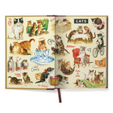 Cavallini (A5) Window Journal - Cat 6X8.25" Lined 320PG