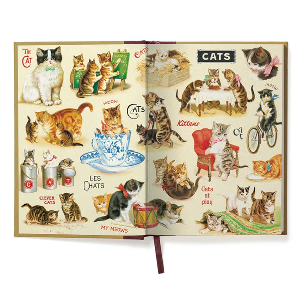 Cavallini (A5) Window Journal - Cat 6X8.25" Lined 320PG