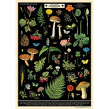 Cavallini Vintage Art Poster - Field Guide to Foraging