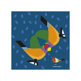 Schiffer Publishing - Birds: Fold & Play