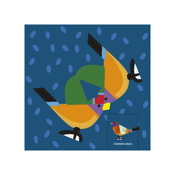 Schiffer Publishing - Birds: Fold & Play