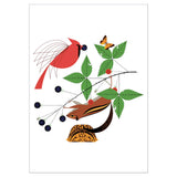 Pomegranate Notecard - Charley Harper: A Good World