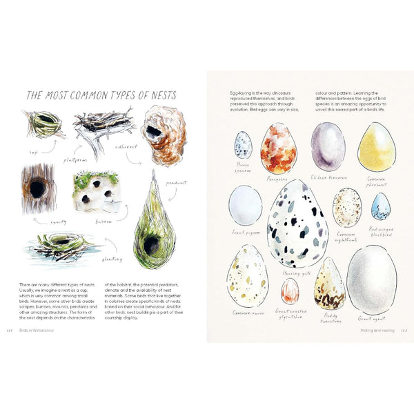 Quadrille Art Instruction Book - Birds In Watercolour