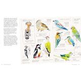 Quadrille Art Instruction Book - Birds In Watercolour