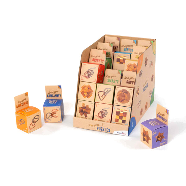 Recent Toys Mini Brain Puzzle - Are You Series