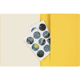 Moleskine Cahier Ruled Journal, XL - MoMA Vincent van Gogh
