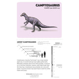 Pomegranate Trivia Card Game - Dinosaurs 48pk