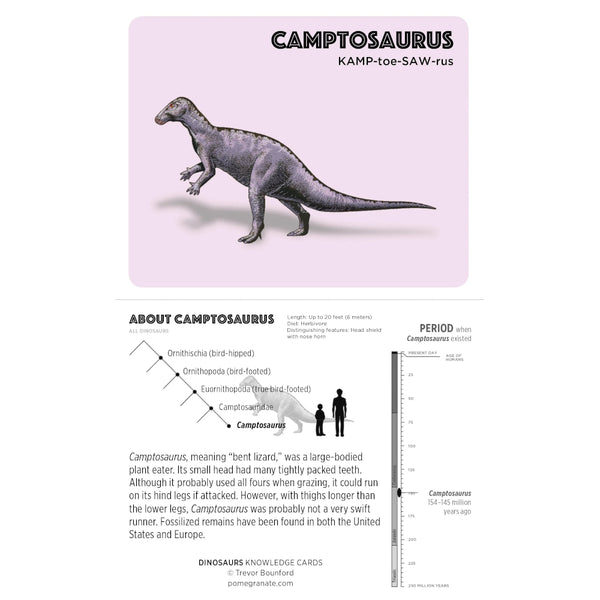 Pomegranate Trivia Card Game - Dinosaurs 48pk