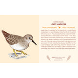 Pomegranate Trivia Card Game - Birds 48pk