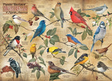 Cobble Hill 1000pc Puzzle - Popular Backyard Wild Birds of North America