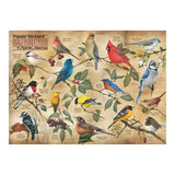 Cobble Hill 1000pc Puzzle - Popular Backyard Wild Birds of North America