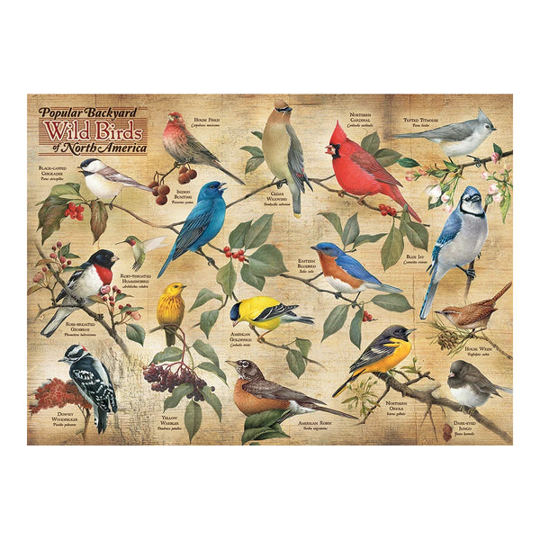 Cobble Hill 1000pc Puzzle - Popular Backyard Wild Birds of North America