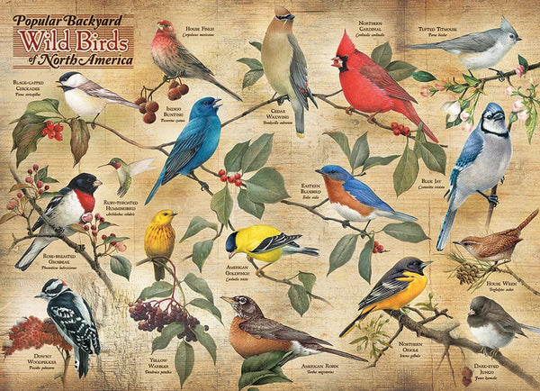Cobble Hill 1000pc Puzzle - Popular Backyard Wild Birds of North America