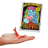 House of Marbles Fortune Telling Fish 6pk