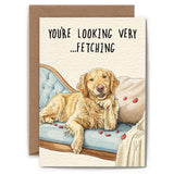 Bewilderbeest Greeting Card - You're Looking Very Fetching