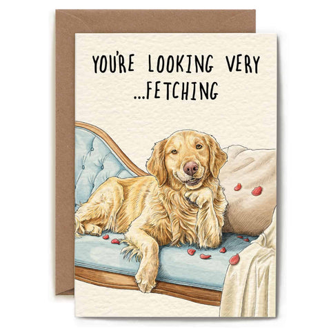 Bewilderbeest Greeting Card - You're Looking Very Fetching