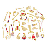 Tedco 4D Human Skeleton Anatomy Model Kit 46pc Educational Puzzle, Age 8+