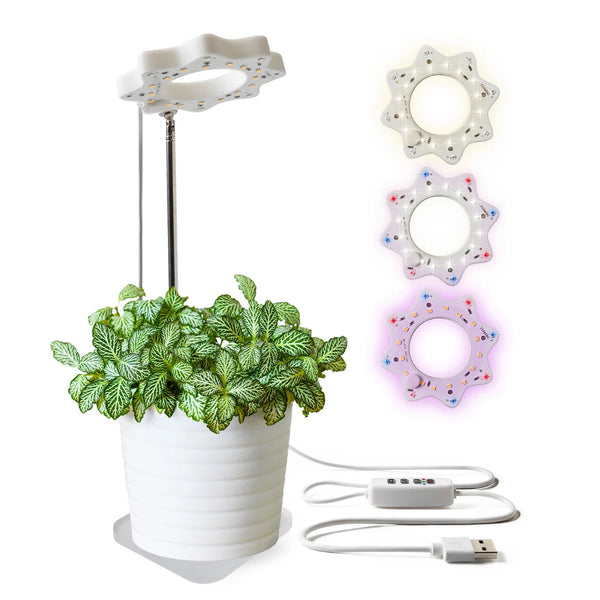 Canadian Gift Concept Bloomie Indoor Grow Light