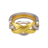 Puzzle Master Hanayama Metal Puzzle - Cast Ring