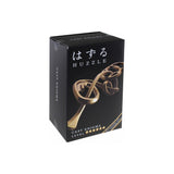 Puzzle Master Hanayama Metal Puzzle - Cast Enigma