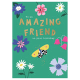 Second Nature Birthday Greeting Card - To An Amazing Friend