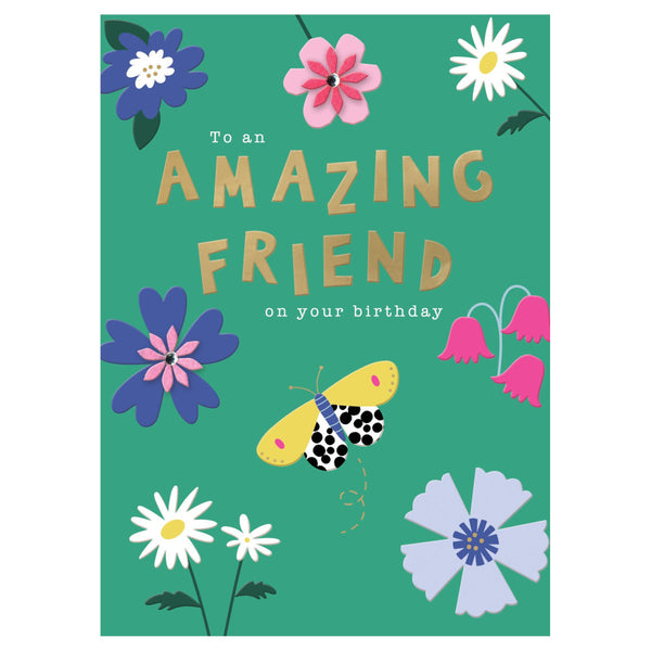 Second Nature Birthday Greeting Card - To An Amazing Friend