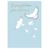 Second Nature Sympathy Greeting Card - So Sorry to Hear, Birds