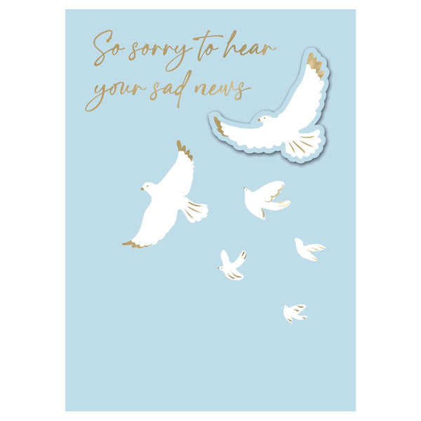 Second Nature Sympathy Greeting Card - So Sorry to Hear, Birds
