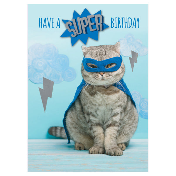 Second Nature Birthday Greeting Card - Super Cat