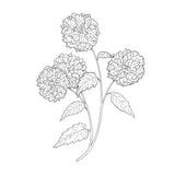Creative Haven Colouring Book - Vintage Florals