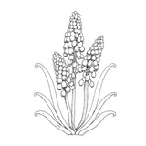 Creative Haven Colouring Book - Vintage Florals