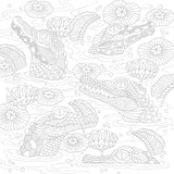Millie Marotta’s Tiny Animal Kingdom Colouring Book