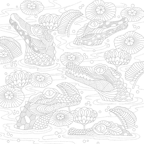 Millie Marotta’s Tiny Animal Kingdom Colouring Book