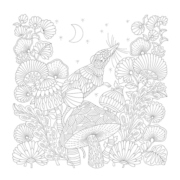 Millie Marotta’s Tiny Animal Kingdom Colouring Book