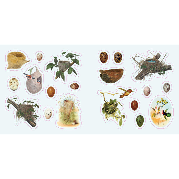 Birds: A Smithsonian Sticker Book By The Smithsonian Institution