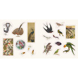 Birds: A Smithsonian Sticker Book By The Smithsonian Institution