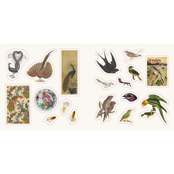 Birds: A Smithsonian Sticker Book By The Smithsonian Institution