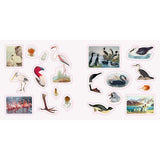 Birds: A Smithsonian Sticker Book By The Smithsonian Institution
