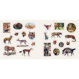 Fantastic Creatures: A Smithsonian Sticker Book By The Smithsonian Institution