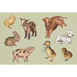 The Collector's Curio Sticker Book by Jessica Roux