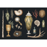 The Collector's Curio Sticker Book by Jessica Roux