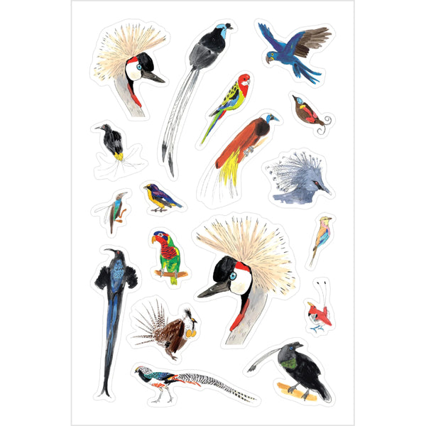 Julia Rothman Bird Anatomy Sticker Book