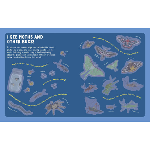 Storey Publishing - Backpack Explorer Stickers: Night Adventure