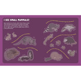Storey Publishing - Backpack Explorer Stickers: Night Adventure