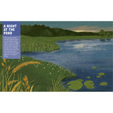 Storey Publishing - Backpack Explorer Stickers: Night Adventure