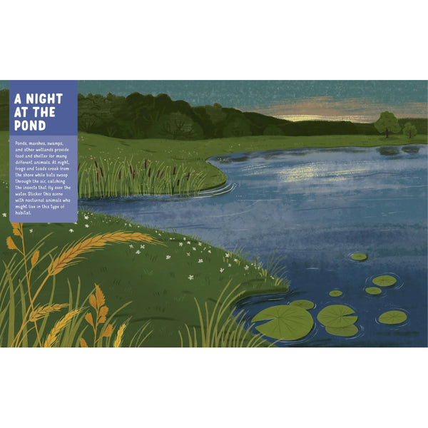Storey Publishing - Backpack Explorer Stickers: Night Adventure