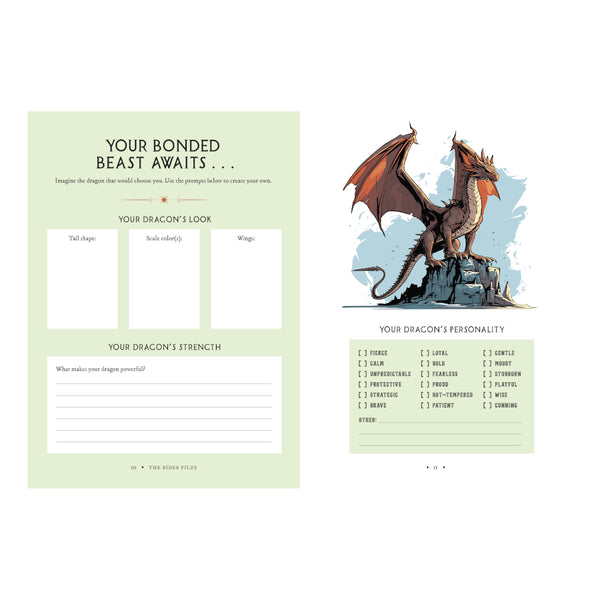 Walter Foster Sticker Book - The Rider Files