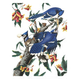 New York Puzzle 500pc - Blue Jays